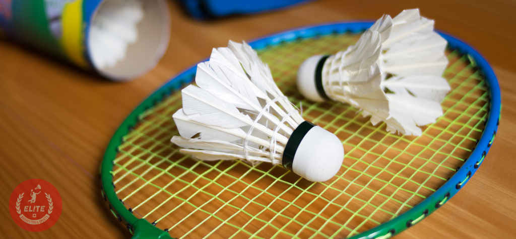 Badminton deals shuttlecock toronto